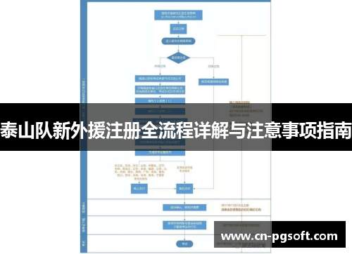泰山队新外援注册全流程详解与注意事项指南