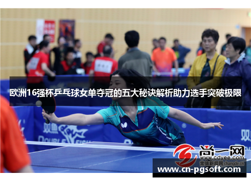 欧洲16强杯乒乓球女单夺冠的五大秘诀解析助力选手突破极限