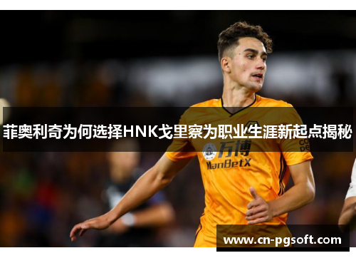 菲奥利奇为何选择HNK戈里察为职业生涯新起点揭秘