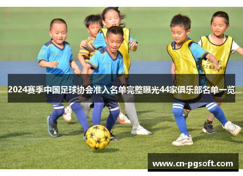 2024赛季中国足球协会准入名单完整曝光44家俱乐部名单一览