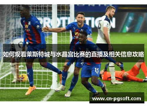 如何观看莱斯特城与水晶宫比赛的直播及相关信息攻略