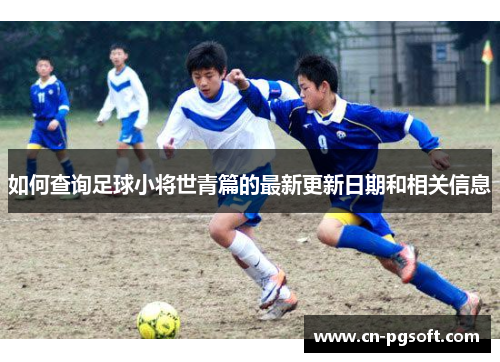如何查询足球小将世青篇的最新更新日期和相关信息