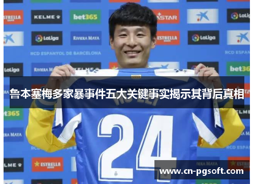 鲁本塞梅多家暴事件五大关键事实揭示其背后真相