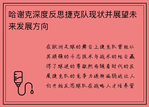哈谢克深度反思捷克队现状并展望未来发展方向