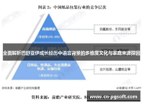全面解析巴舒亚伊成长经历中语言背景的多维度文化与家庭来源探因