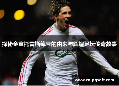 探秘金童托雷斯绰号的由来与辉煌足坛传奇故事